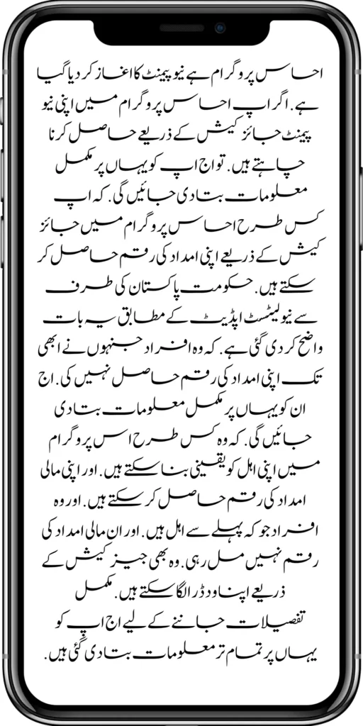 BISP 3