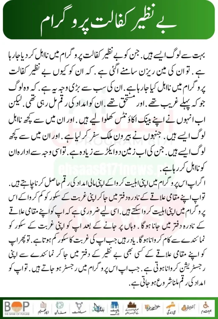 Punjab Government Launches Solar Panels Project for 50000 Eligible Families 23