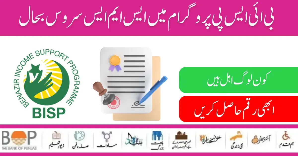 How To Apply BISP Program By 8171 SMS Method New Registration Procedure Start 2025