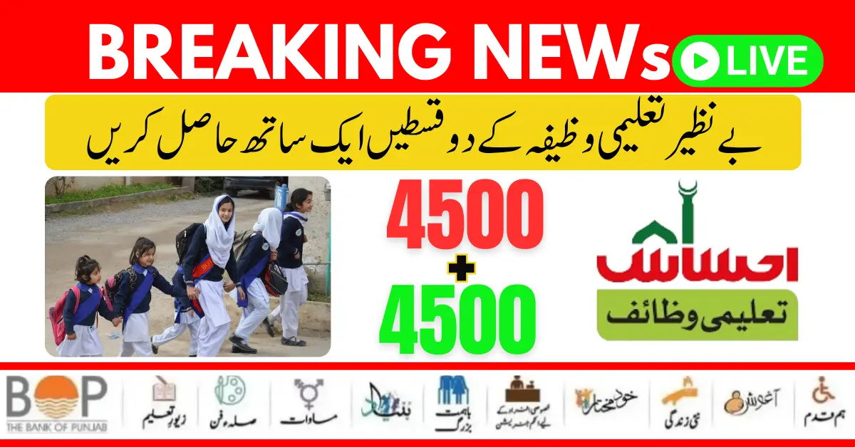 https://8171.bispwebportal.org.pk/8171-ehsaas-program-new-payment-25000/