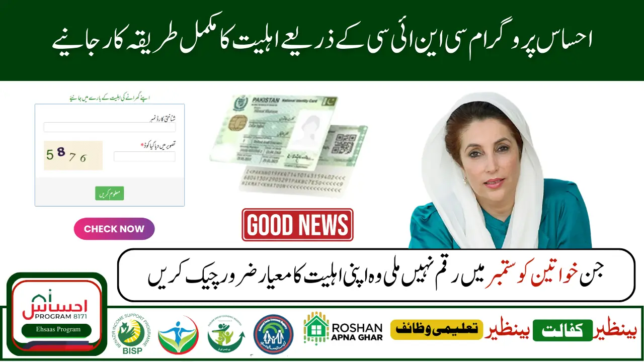 How to Check 8171 Ehsaas Program Eligibility Online with CNIC