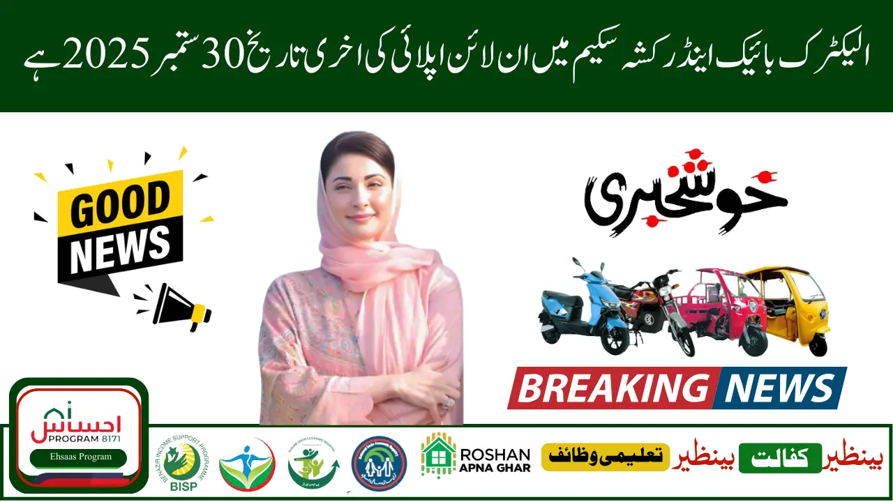 PM Electric Rickshaw Scheme 2025 How to Get Loan and Subsidy Easily 1 1