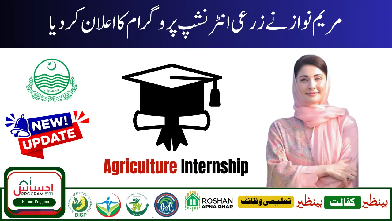 Punjab CM Agriculture Internship Program 2025 How to Apply